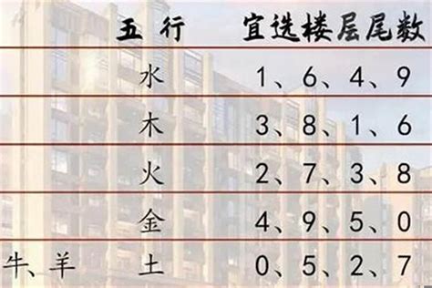 屬鼠方位|属鼠最佳住房楼层和风水方位